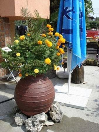 Mavrikova Kushta Hotel Bansko Eksteriør billede